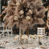 250 Pcs Dried Pampas Grass Decor 17 Inch Bulk Natural Small Pompous Wild Fluffy Pampas Floral Boho Decor Flowers For Wedding Party Farmhouse Home Bathroom Office Kitchen (Brown)