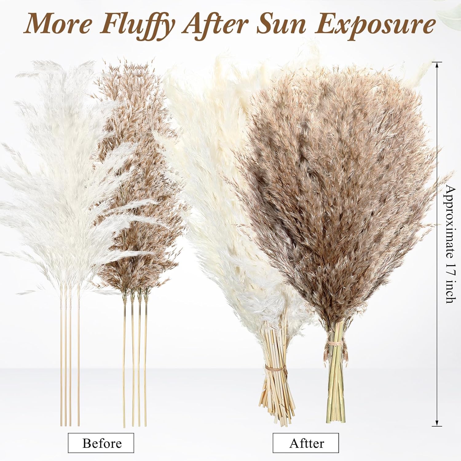100 Pcs Dried Pampas Grass Decor 17 Inch Bulk Natural Small Pompous Wild Fluffy Pompas Floral Boho Decor Flowers For Wedding Party Farmhouse Home Decor Bathroom Office Kitchen (White, Brown)
