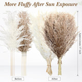 100 Pcs Dried Pampas Grass Decor 17 Inch Bulk Natural Small Pompous Wild Fluffy Pompas Floral Boho Decor Flowers For Wedding Party Farmhouse Home Decor Bathroom Office Kitchen (White, Brown)