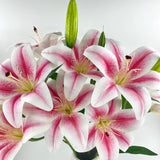 12 Artifical Lily Flowers With 9 Heads Full Bloom Lily & 3 Buds, Long Stem Artificial Stargazer Lilies, Faux Tiger Bouquets For Home Hotel Office Party Decor Table Centerpieces?Light Pink?
