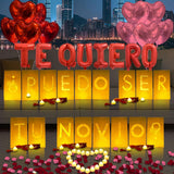 Puedo Ser Tu Novio Lighted Letters Sign 17Pcs Luminary Paper Bags 2200Pcs Red Pink Artificial Rose Petals 48Pcs Flameless Led Candle Tealight 15Pcs Heart Balloons Romantic Night Valentine'S Day