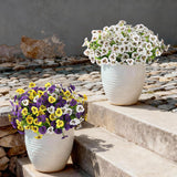 12 Bundles Realistic Artificial Flowers For Outdoor Home Spring Decorations, Faux Pansies Silk Detachable Fake Plants Moldable Eucalyptus Stems For Planters Pot Patio Window Box Cemetery (White)