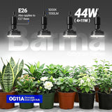 Orbgrow OG11A Grow Light Bulbs 4 Pack Full Spectrum E26 Plant Lights with Timer
