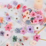 240Pcs Fake Flowers Heads Artificial Silk Flower For Crafts, Small Artificial Daisy Roses Faux Flowers Bulk For Diy Cake Wedding Party Home Garland Wreath Decoration