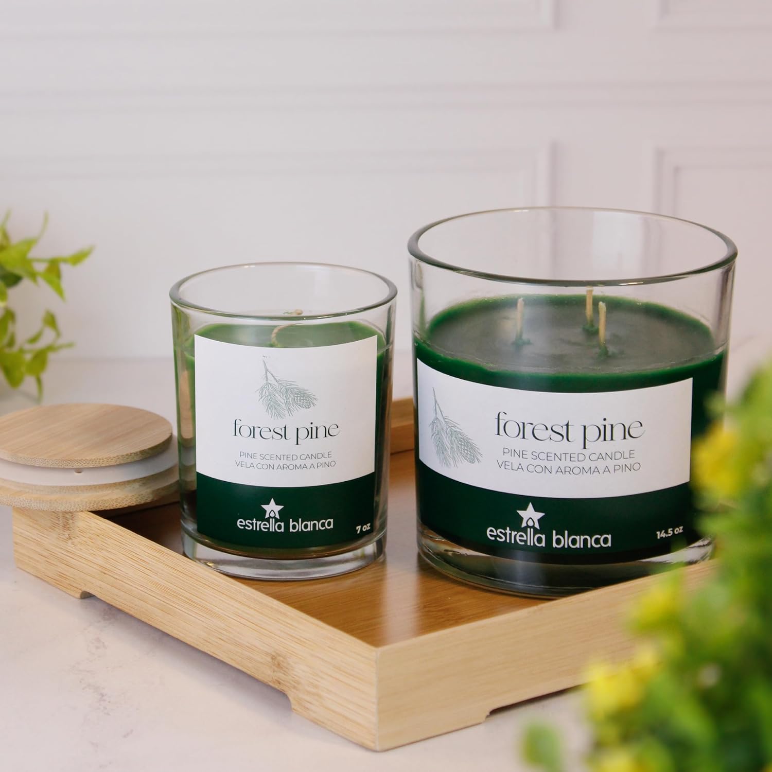Forest Pine Scented Candle 14.5Oz, Soy Wax Candle With Long-Lasting Burn For Home And Gifting