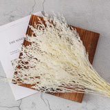 Dried Flowers Bouquet, Dry Caspia Flower Bundle, Floral Lavender, Babys Breath Flowers Arrangements For Wedding Decor, Door Wreath, Home Party Table Vase Decoration (White, 17'')