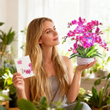 Birthday Cards, Mothers Day Cards With Light And Music, Orchid Oasis, 10 Inch Life Sized Forever Flower Bouquet, Greeting Card For Thank You Cards Get Well Soon For Her Women Wife Mom Daughter Sister (Blank Notecard & Envelope)