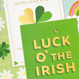 Hallmark St. Patrick's Day Card Assortment (24 Blank Cards with Envelopes) for Kids, Teens, Friends