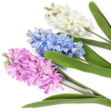 3Pcs 16.5 Inch Artificial Hyacinth Flowers – Long Stem Silk 3D Narcissus Plastic Fake Branches Real Touch Faux Twig Bouquet, Lifelike Spring Picks For Table Vase Decor Wedding Party Home Props Fence