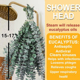 12 Pcs Dried Eucalyptus Stems For Shower - 17" Preserved Eucalyptus Stems Shower Plant, Fresh Real Eucalyptus Leaves For Shower Hanging, Home Decor, Dried Flowers