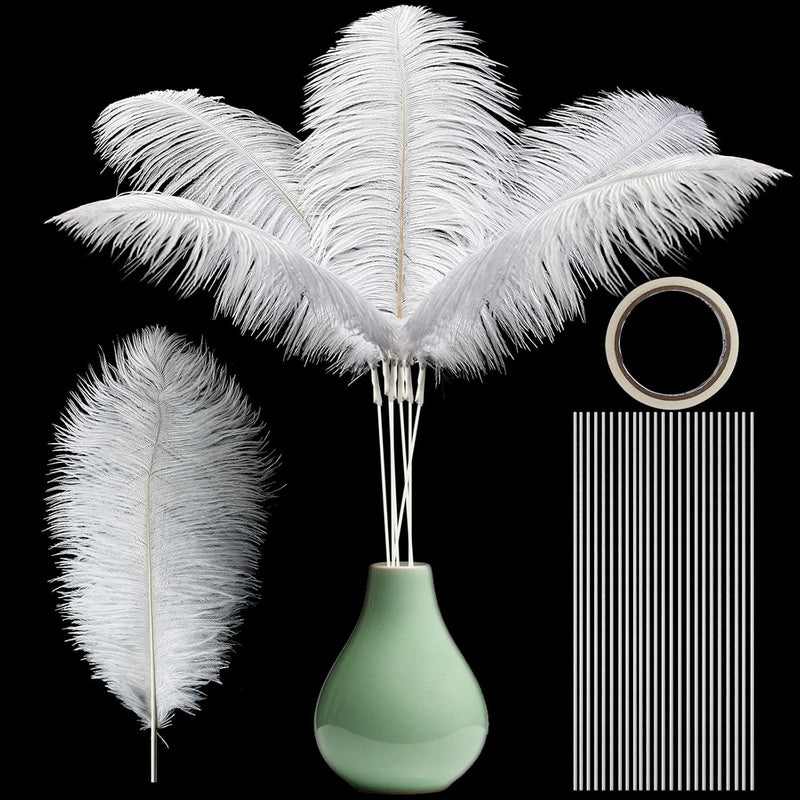 Topshopicks Pack Of 24 Natural White Ostrich Feathers Bulk 10-12 Inches With 1