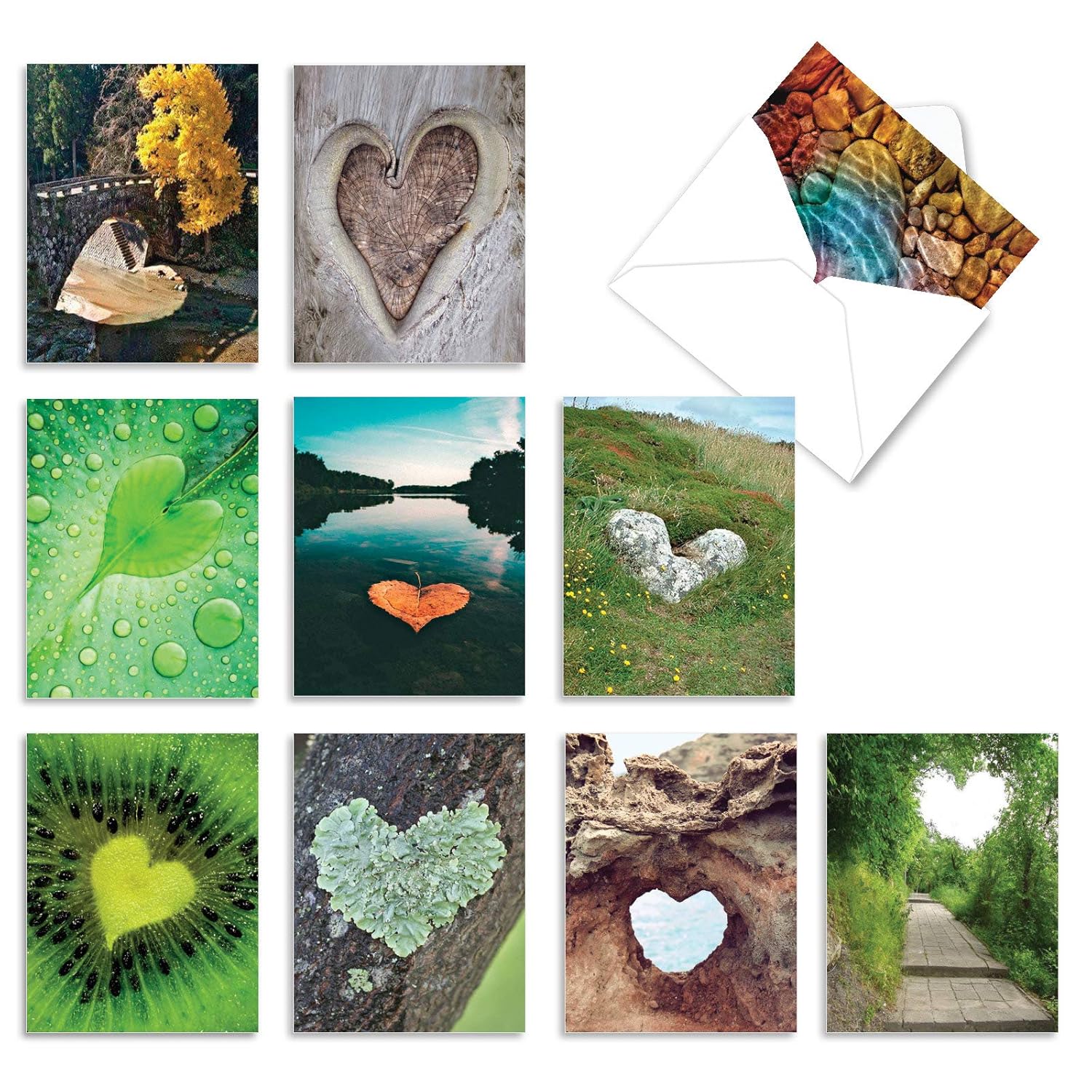 - 10 Blank Heart Note Cards Boxed (4 X 5.12 Inch) - All Occasion Heartfelt Love Card Assortment - Heartscapes Am6838Ocb-B1X10