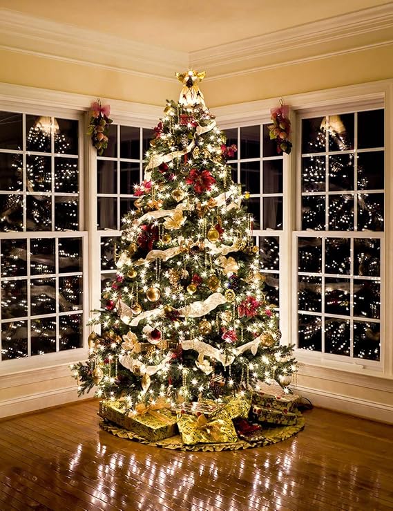 200 LED 66FT Copper Fairy String Lights USB Powered Warm White Twinkle Lights with Remote Control 8 Modes for Christmas Tree Wedding Party Home Decor