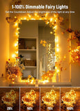33FT USB Plug In Fairy Lights 100 LED Warm White String Lights with Remote Timer 8 Modes Waterproof for Bedroom Wedding Decor