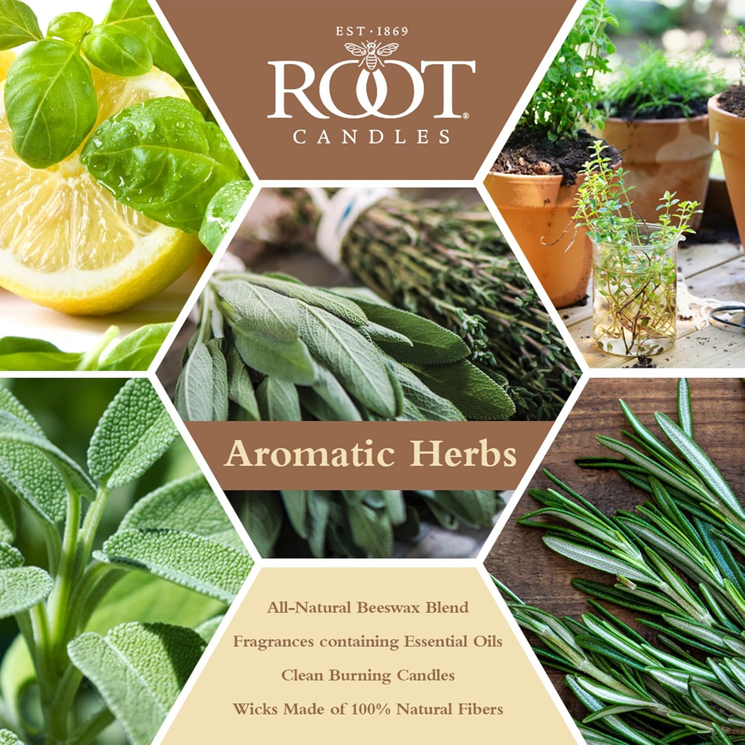 Root Candles Scented Candles Honeycomb Beeswax Blend Premium Handcrafted Candle, Large Veriglass, Aromatic Herbs
