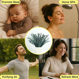 20 Pcs 17" Preserved Eucalyptus Shower & Decor Stems - Natural Aromatherapy Branches For Spa, Vase Fillers, Wedding, And Home Decoration