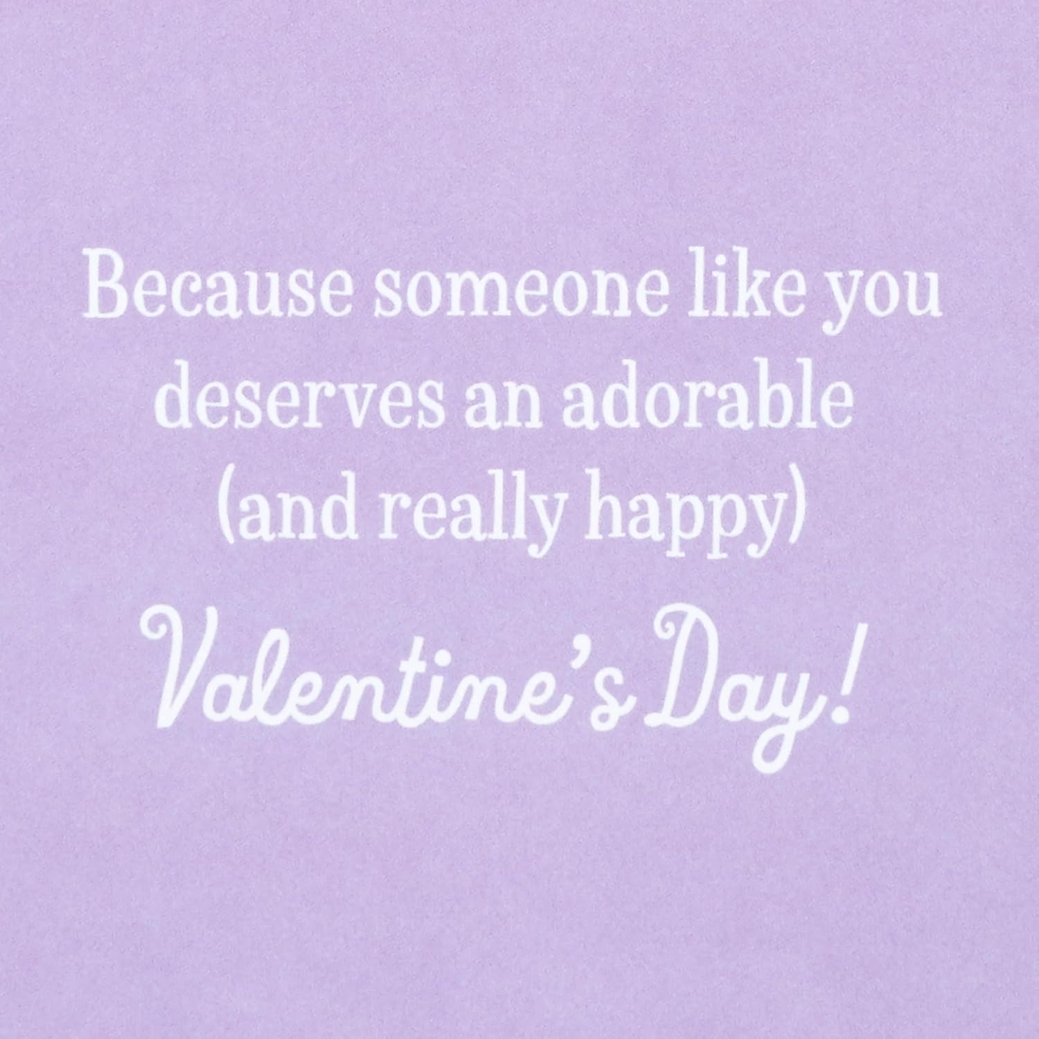 Hallmark Funny Valentine's Day Card (Bouquet of Kittens)