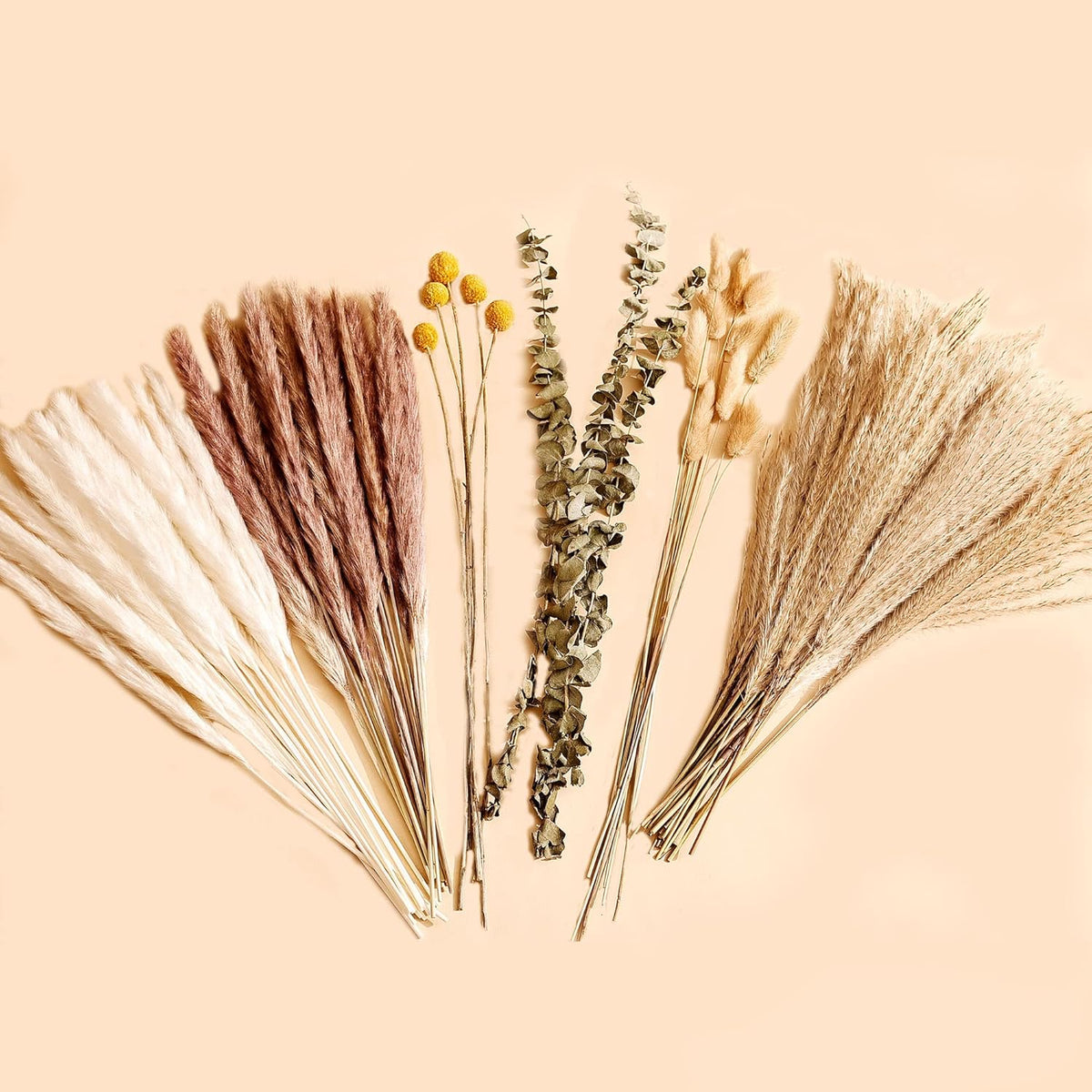 Natural Dried Pampas Grass Bouquet 78Pcs 17Inch Home Decor, White Pampas & Brown Pampas & Reed Grass & Bunny Tails Grass & Craspedia & Eucalyptus, Boho Wedding Decor Flowers Arrangement