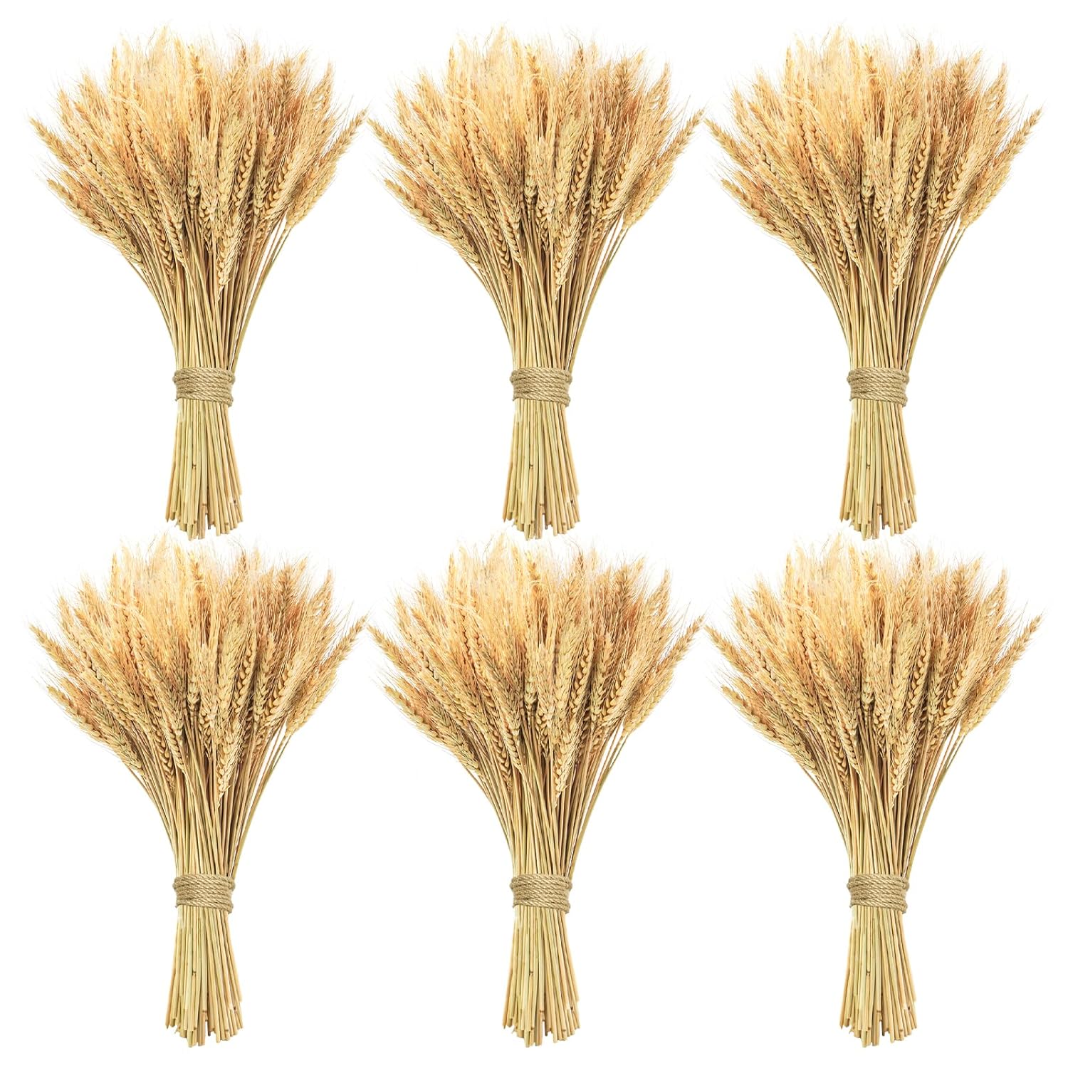 600 Stems Natural Dried Wheat Stalks, 18 Inches Dried Wheat Grass Bundle Wheat Sheaves Wreath For Flowers Arrangement Wedding Table Centerpieces Home Kitchen Office Diy Party Décor