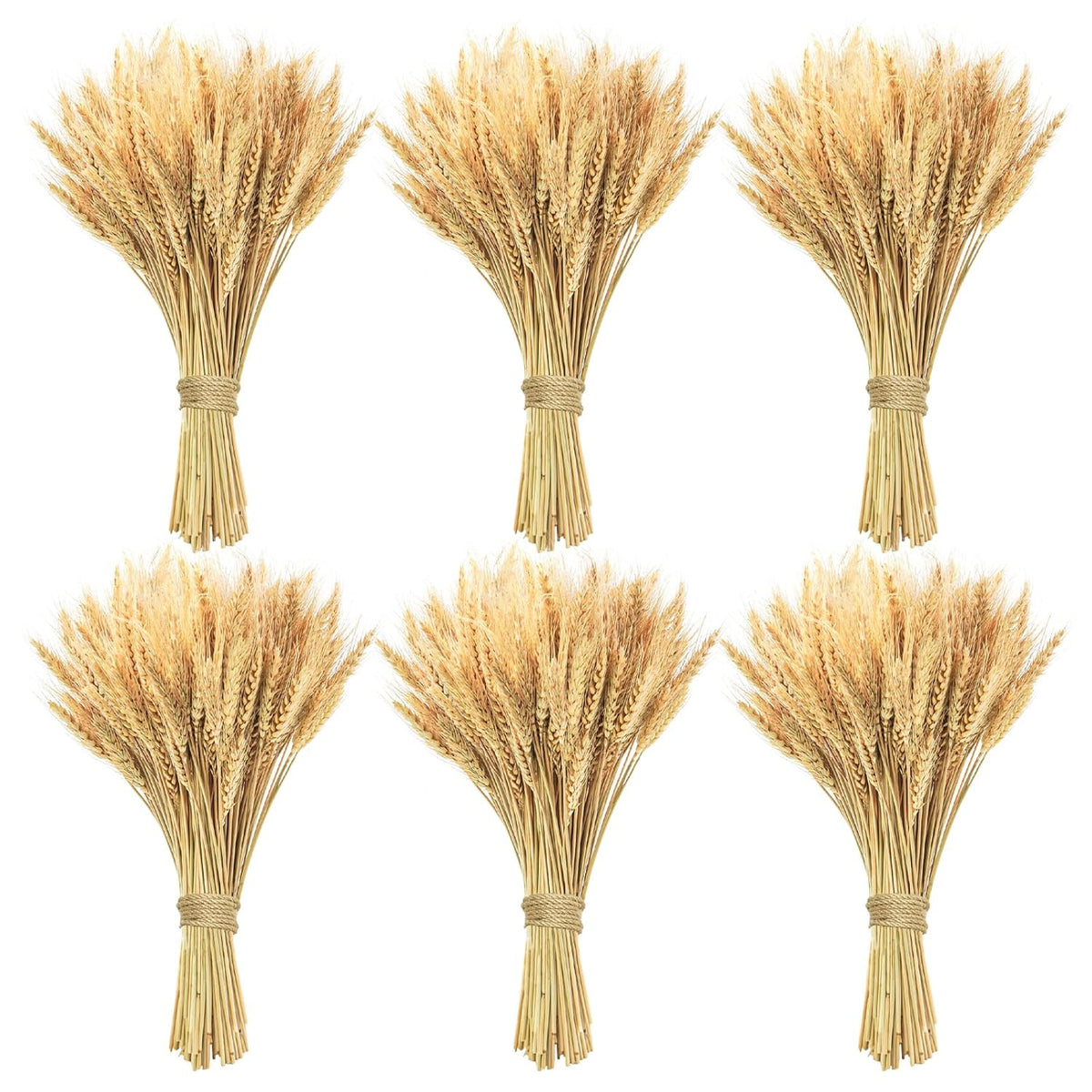 600 Stems Natural Dried Wheat Stalks, 18 Inches Dried Wheat Grass Bundle Wheat Sheaves Wreath For Flowers Arrangement Wedding Table Centerpieces Home Kitchen Office Diy Party Décor