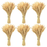 600 Stems Natural Dried Wheat Stalks, 18 Inches Dried Wheat Grass Bundle Wheat Sheaves Wreath For Flowers Arrangement Wedding Table Centerpieces Home Kitchen Office Diy Party Décor