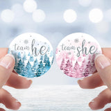 Baby It'S Cold Outside Gender Reveal, Winter Evergreen Trees Team He Or Team She Stickers - Pink Blue Snow Themed Party Decorations - 40 Count
