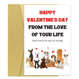 Funny Dog Valentine'S Day Card For Him Her, Humorous Valentines Day Card Gift For Dog Owners, Husband, Wife, Partner, Happy Valentine'S Day From The Love Of Your Life