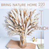 220Pcs Natural Dried Pampas Grass Boho Home Decor Bouquet Phragmites Dried Flowers Bouquet For Wedding Floral Arrangements Home Decorations (220Pcs)
