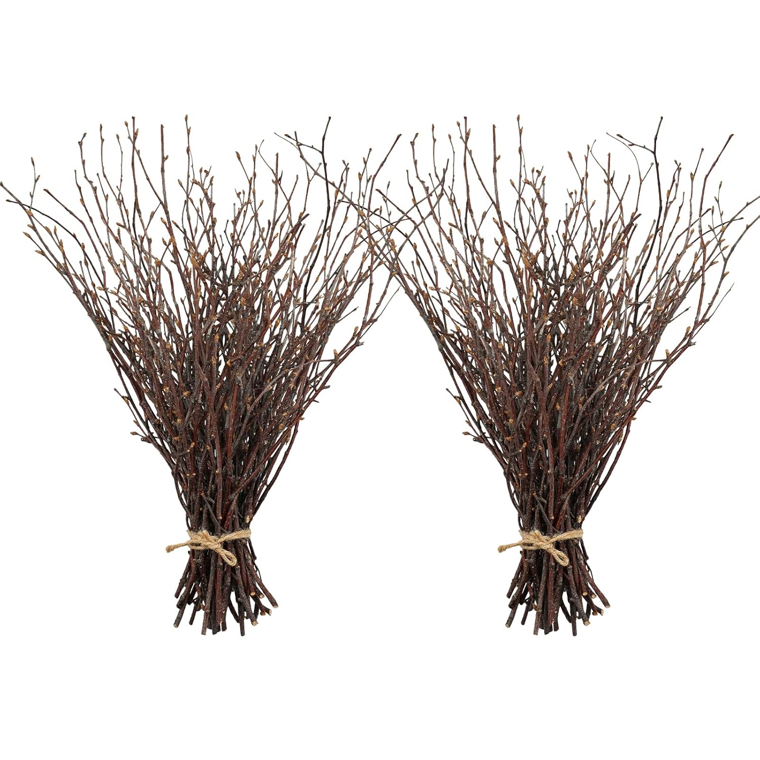 100Pcs Natural Dried Birch Twigs - 17 Inch Dried Plants Decorative Branches For Diy Crafts, Sticks For Vases Wedding Arrangements Home Wreath Decor