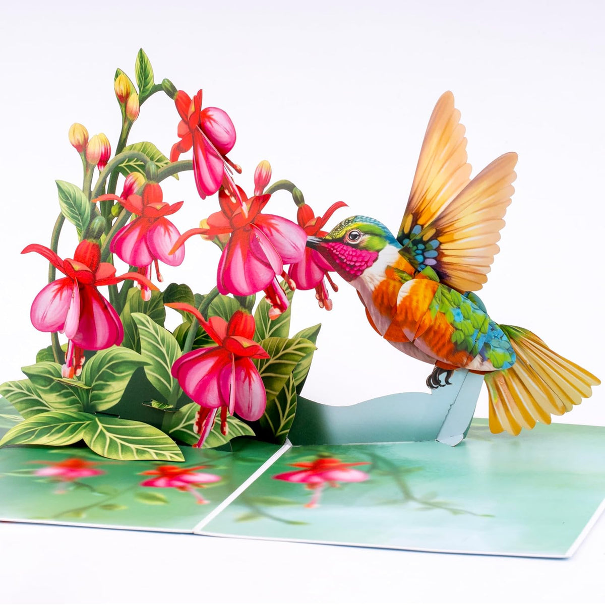 Humming Bird Pop Up Card, Fuchsia, 3D Popup Greeting Cards, Gift For Birthday, Mothers Day, Anniversary, Valentines, Thinking Of You, Thank You, 5X7 - Includes Envelope And Message Note
