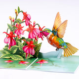 Humming Bird Pop Up Card, Fuchsia, 3D Popup Greeting Cards, Gift For Birthday, Mothers Day, Anniversary, Valentines, Thinking Of You, Thank You, 5X7 - Includes Envelope And Message Note