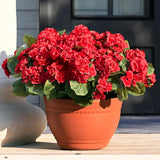 6 Ppcs Artificial Fake Flowers For Outdoors, Uv Resistant Outdoor Artificial Plants, Silk Geraniums Red Spring Flower For Garden Porch Planter Patio Balcony Yard Home Decoration (6, Red)