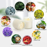50 Pcs Mini Mason Jar Candles 3.5Oz Scented Small Jars Candles Bulk 10 Fragrances Relief Aromatherapy Gifts Set For Wedding Bridal Baby Shower Party Favors Birthday Gifts(Xmas Scent)