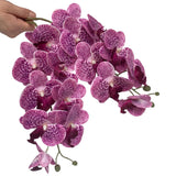 5 Pcs Artificial Orchid Flowers And 2 Bundles Leaves,Artificial Phalaenopsis Flowers 32 Inch Stem Plants For Home Wedding Decoration (Purple Spots)