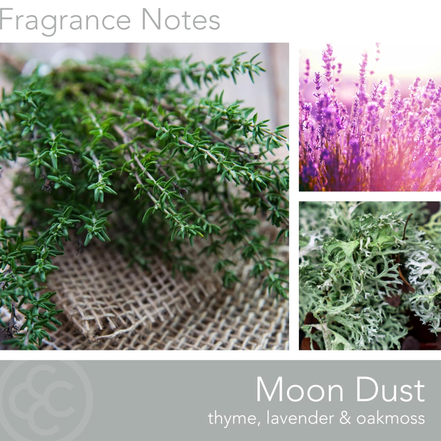 Moon Dust Scented Jar Candle, Rebel Collection, 2 Wick, Blue, 22 Oz - Up To 120 Hours Burn