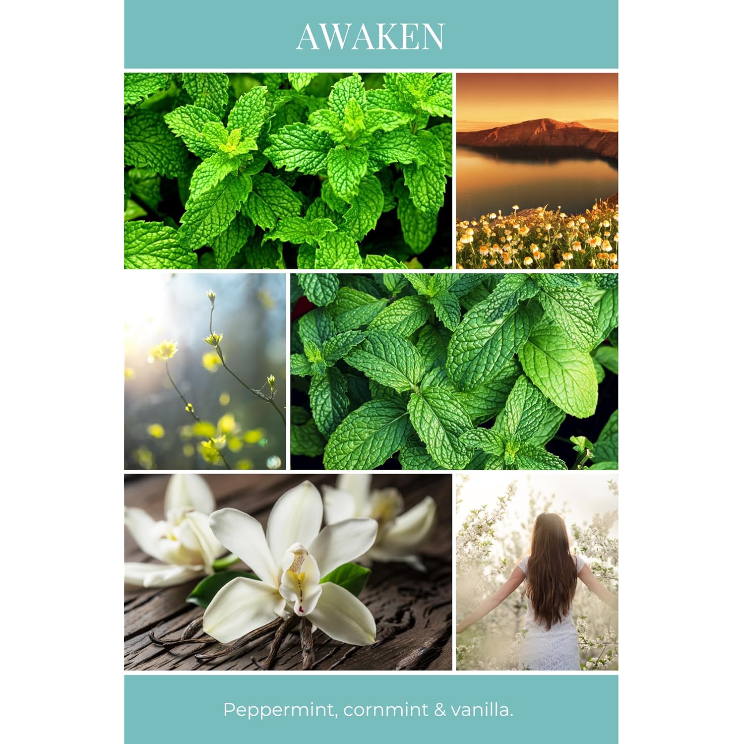 Essentials Candle, Awaken, 8 Oz. - Scents Of Cornmint, Peppermint, & Vanilla - 100% Soy Wax, No Lead, Hand Poured, Phthalate Free, Made From Midwest Grown Soybeans, All Natural Wicks