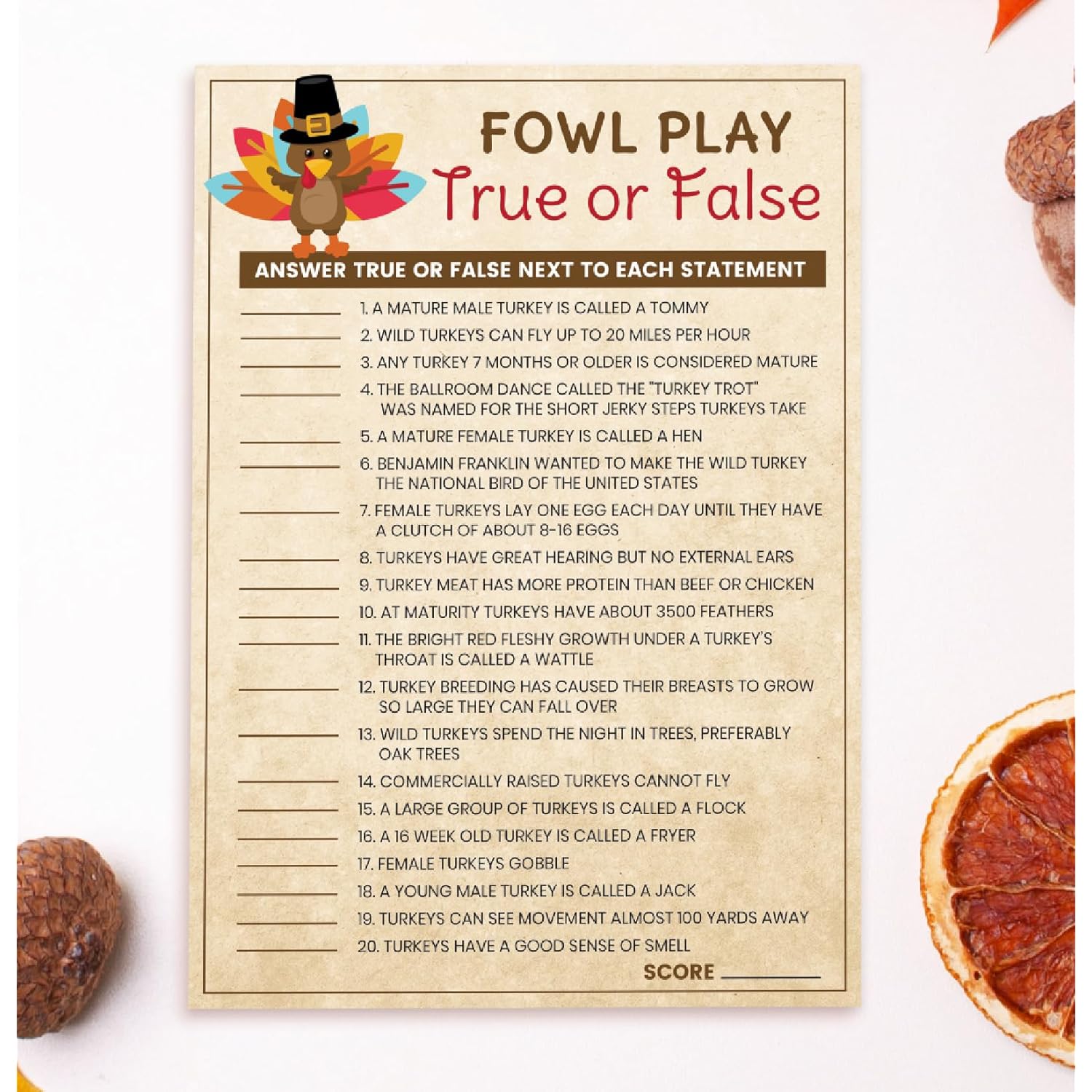 15 Turkey True Or False Game Cards- Fun & Easy For Family Thanksgiving. Friendsgiving, Church Party, Adults Or Kids, Supplies, Activity, Decorations