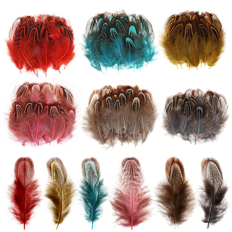 120Pcs Crafts Art Coloured Feathers, 6 Colors Mini Pheasant Feathers 4-8Cm For