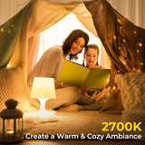 E26 CFL Light Bulbs 13W T2 Spiral 2700K Soft White 60W Equivalent Non-Dimmable 2 Pack