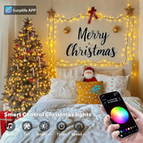500 LED Smart Color Changing Halloween Lights RGB String Lights App Controlled Holiday Decor