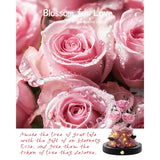 Valentines Day Flowers Roses Gifts For Women Her,Forever Preserved Rose In Glass Dome, Valentines Anniversary Birthday Real Roses Gifts For Wife Women Girlfriend Best Friend/Pink