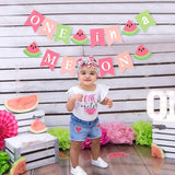 One in a Melon Banner Watermelon Theme 1st Birthday & Party Photo Props