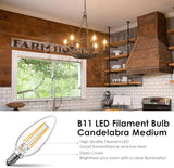 Dimmable E12 LED Candelabra Bulbs 2700K Warm White B11 Vintage Chandelier Light Bulbs 12 Pack