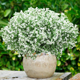12 Bundles Spring Artificial Flowers Outdoor Artificial Plant Decor Uv Resistant Fake Plastic Flowers Faux Shrubs For Home Garden Porch Hanging Planters Outdoor Summer Decoration(White)