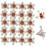 20Pcs 6 Inch Large Artificial Lilies Flower Heads With Realistic Stamens, Bulk Silk Fake Lilies For Diy Crafts, Wedding Decor, Cake Decorating, Centerpieces, Home Decor (White Pink)