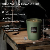 Homelights Scented Candles - Large Jar Aromatherapy, Natural Soy Wax, 130 Hour Long Burning, Wild Mint & Eucalyptus