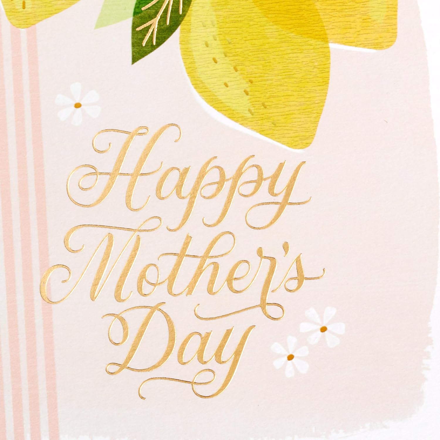 Hallmark Mothers Day Card Pack, Happiest Moments (10 Count with Envelopes)