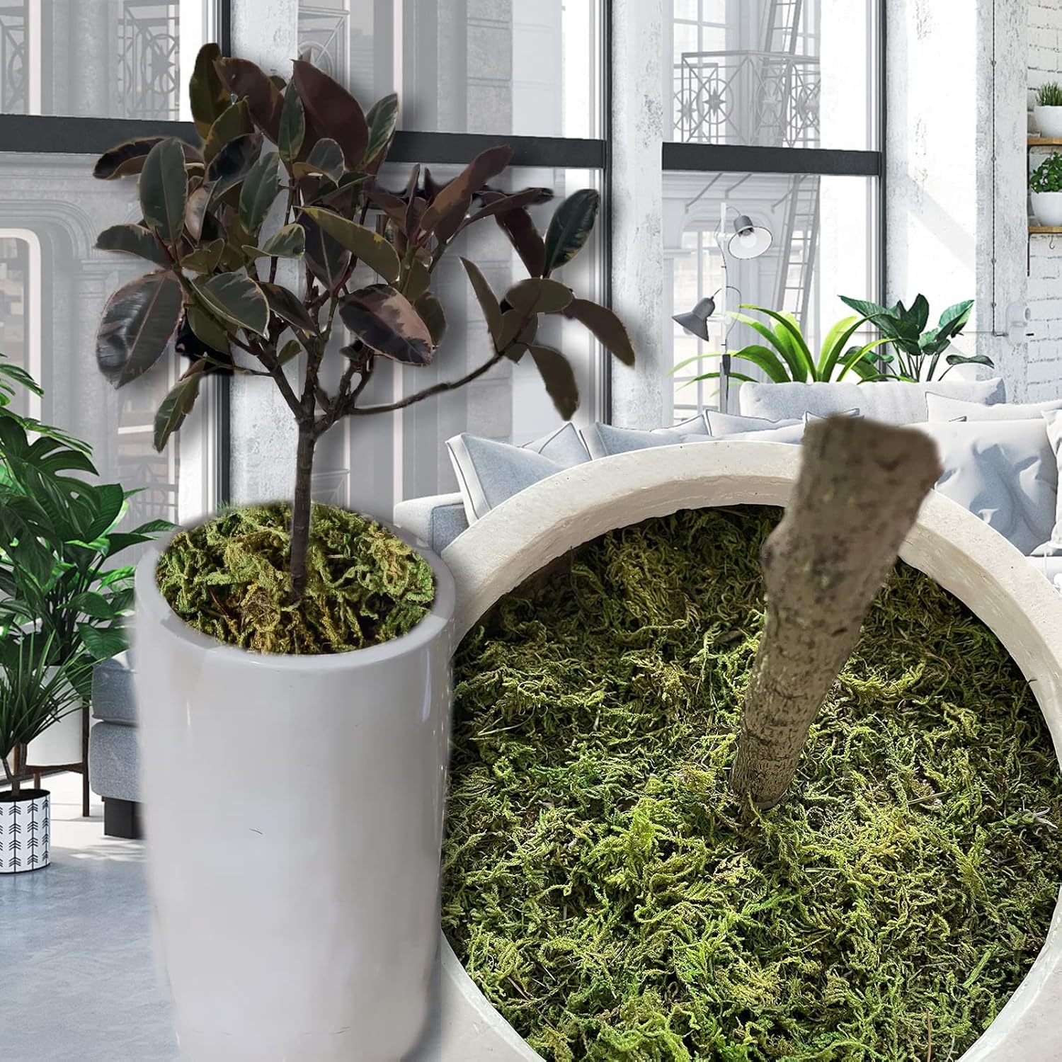 4.1Oz Fake Moss For Potted Plants And Fake Plants - Artificial Moss For Planters And Home Decor