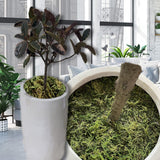 4.1Oz Fake Moss For Potted Plants And Fake Plants - Artificial Moss For Planters And Home Decor