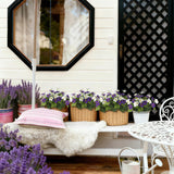 2 Pcs Artificial Flowers For Outdoors Fake Petunias Plants Outside Purple And White Silk Morning Glory Uv Resistant Realistic Faux Tropical Flowers For Planter Porch Patio Yard Garden Window